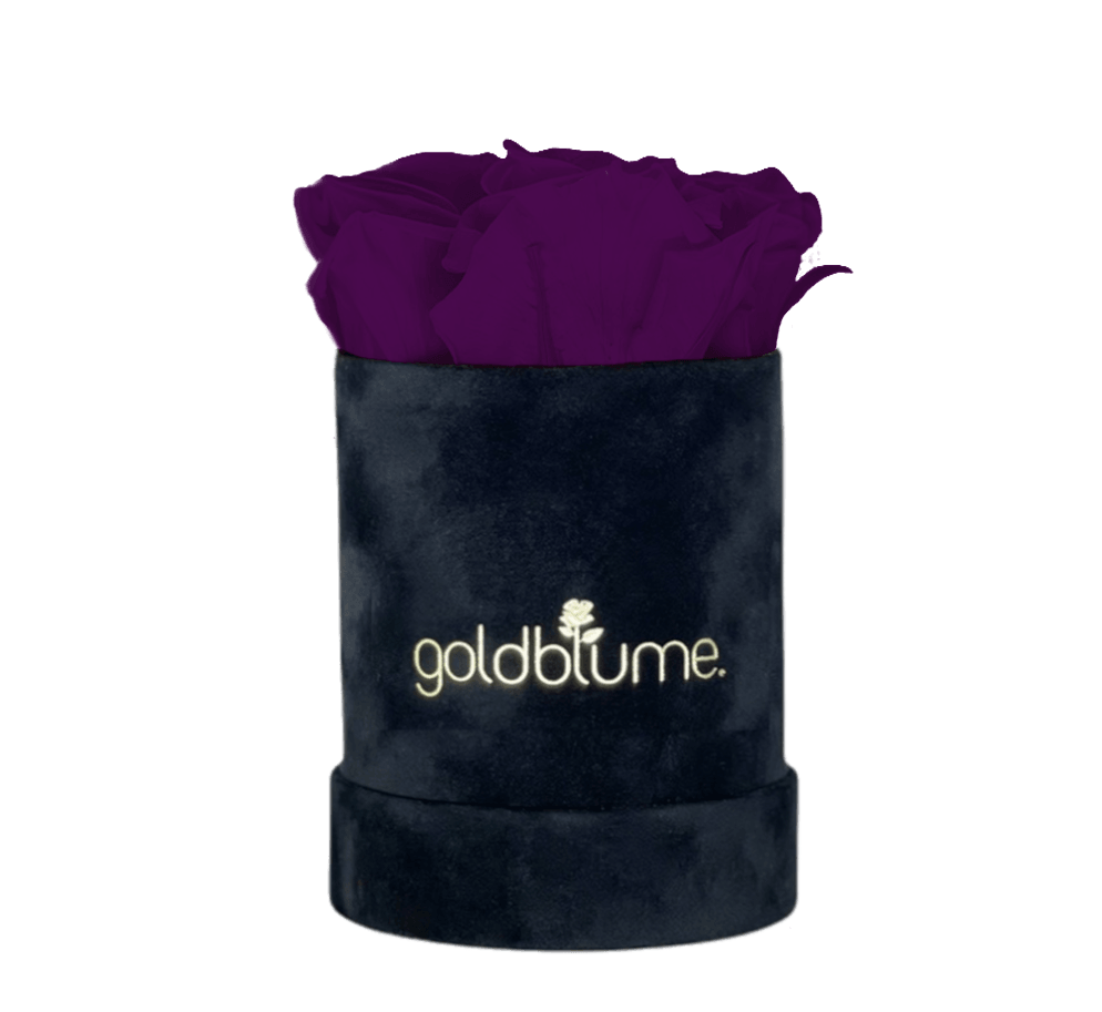 Velvet Black Collection - Goldblume 