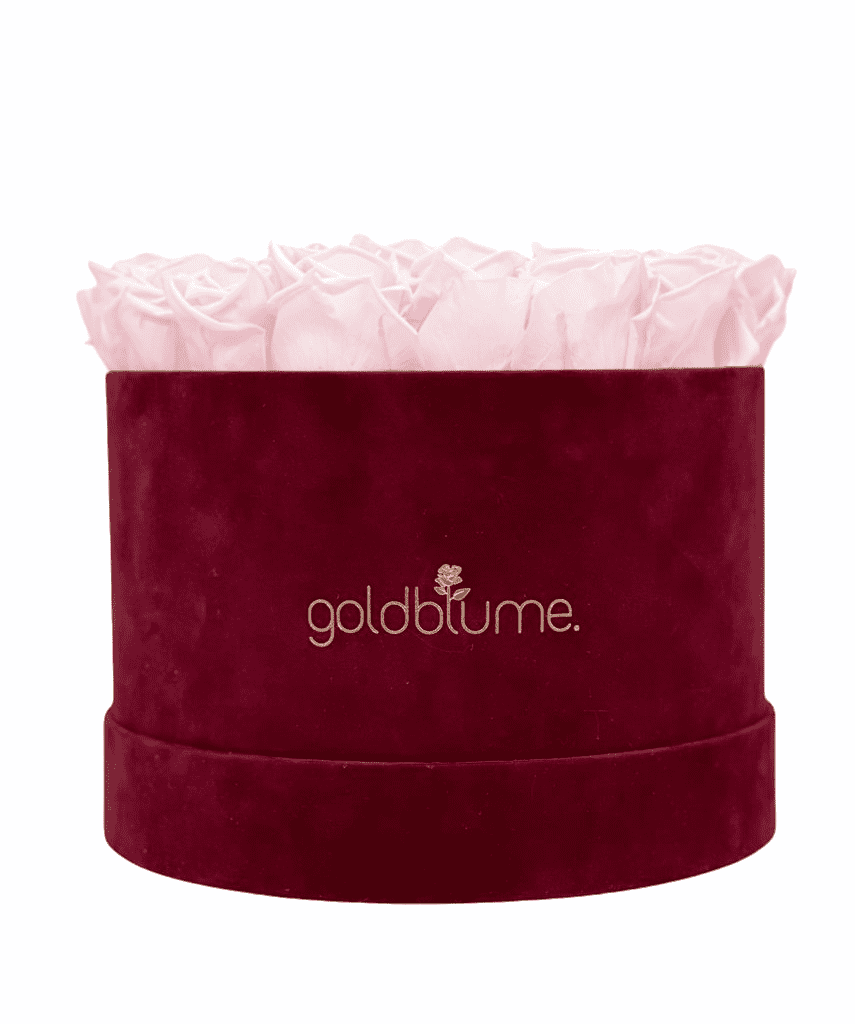 Velvet Bordeaux Collection - Goldblume 
