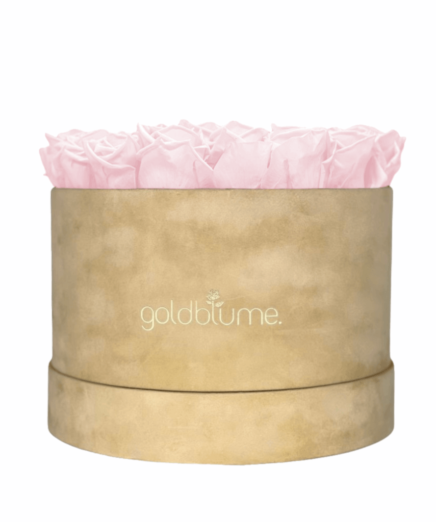 Velvet Beige Collection - Goldblume 