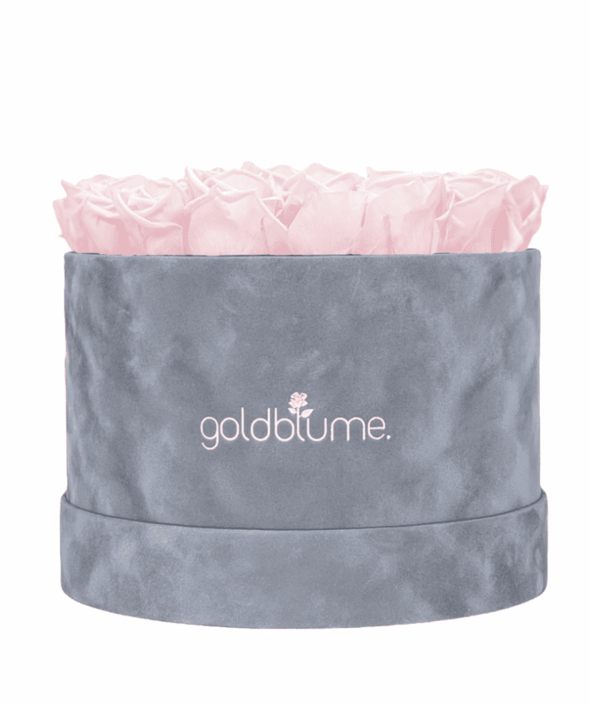 Velvet Grey Collection - Goldblume 