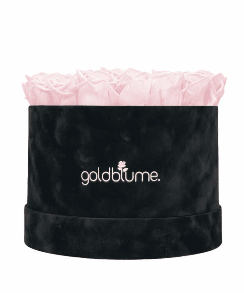 Velvet Black Collection - Goldblume 