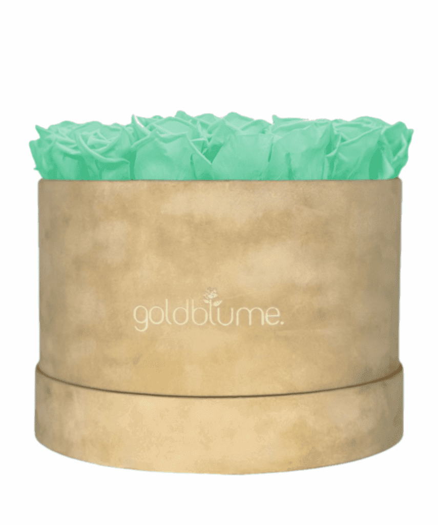Velvet Beige Collection - Goldblume 