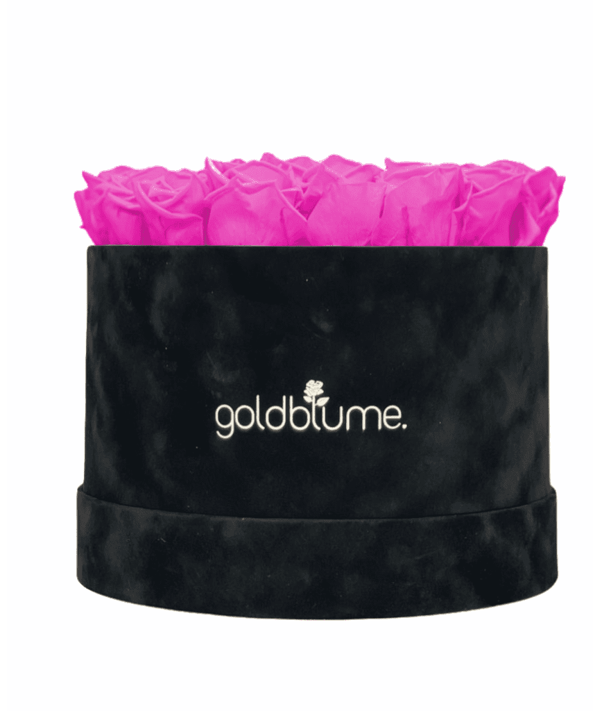 Velvet Black Collection - Goldblume 