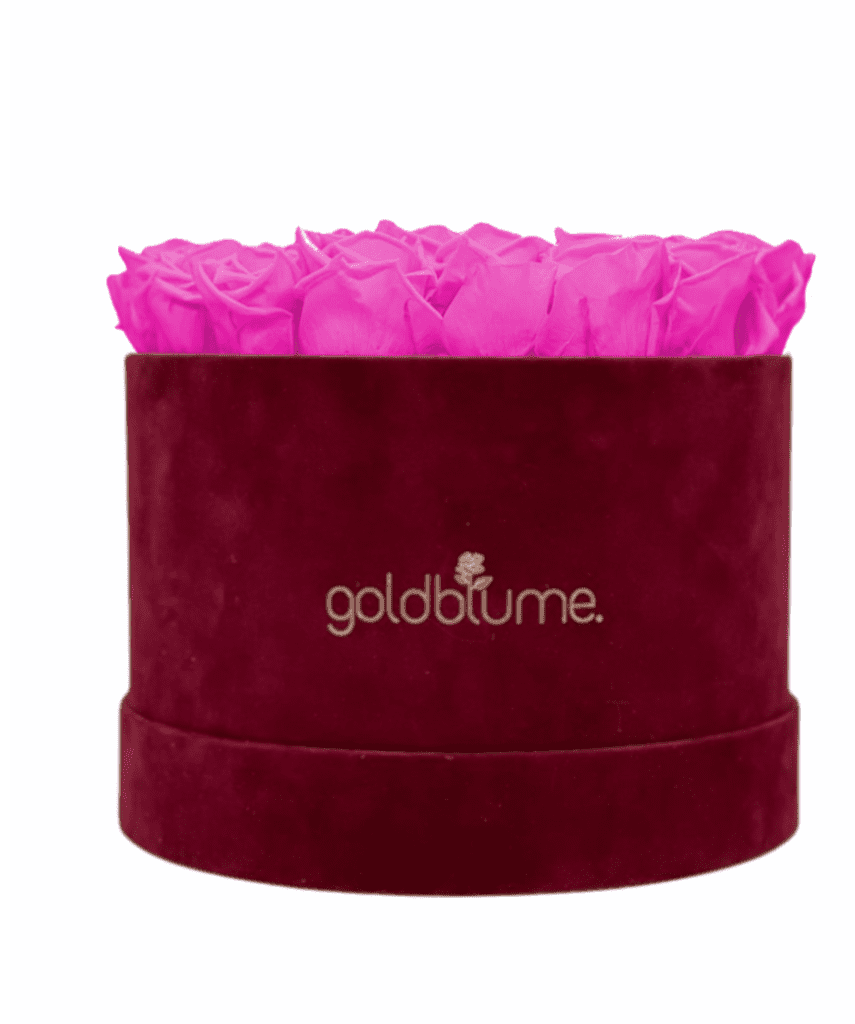 Velvet Bordeaux Collection - Goldblume 