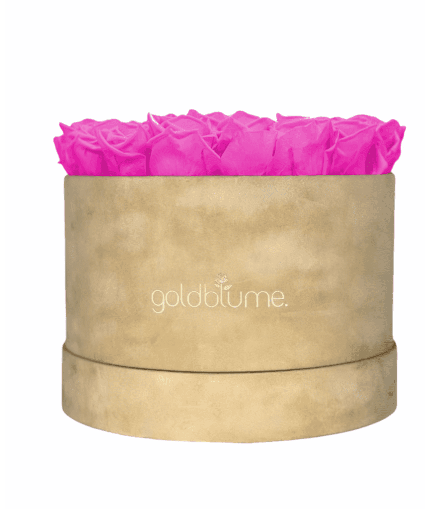 Velvet Beige Collection - Goldblume 