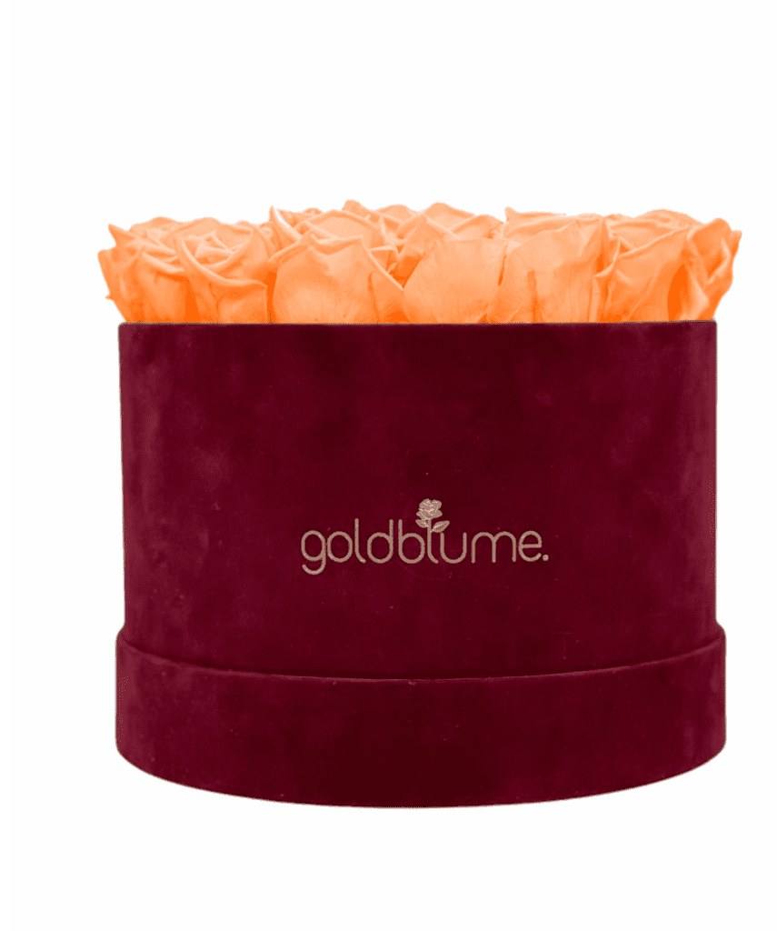 Velvet Bordeaux Collection - Goldblume 