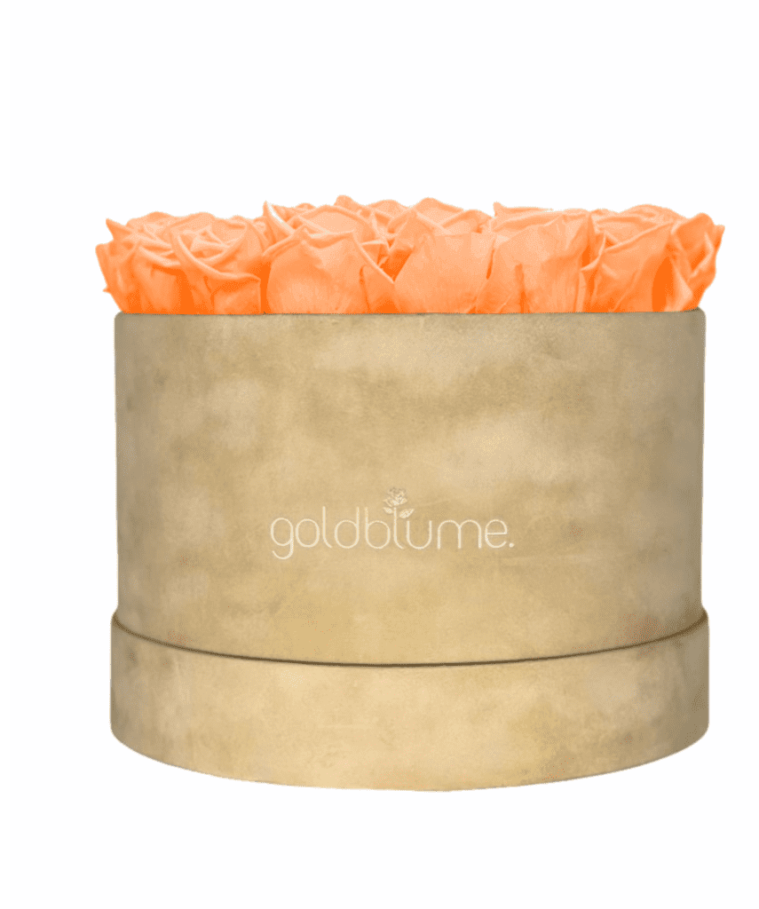 Velvet Beige Collection - Goldblume 