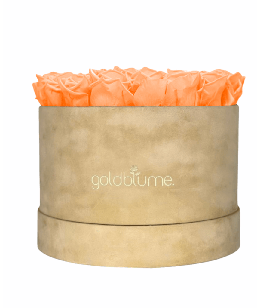 Velvet Beige Collection - Goldblume 
