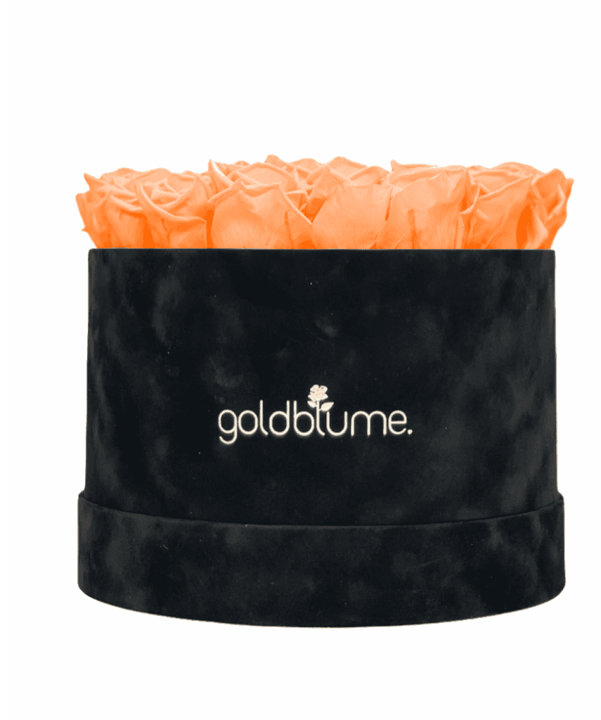 Velvet Black Collection - Goldblume 