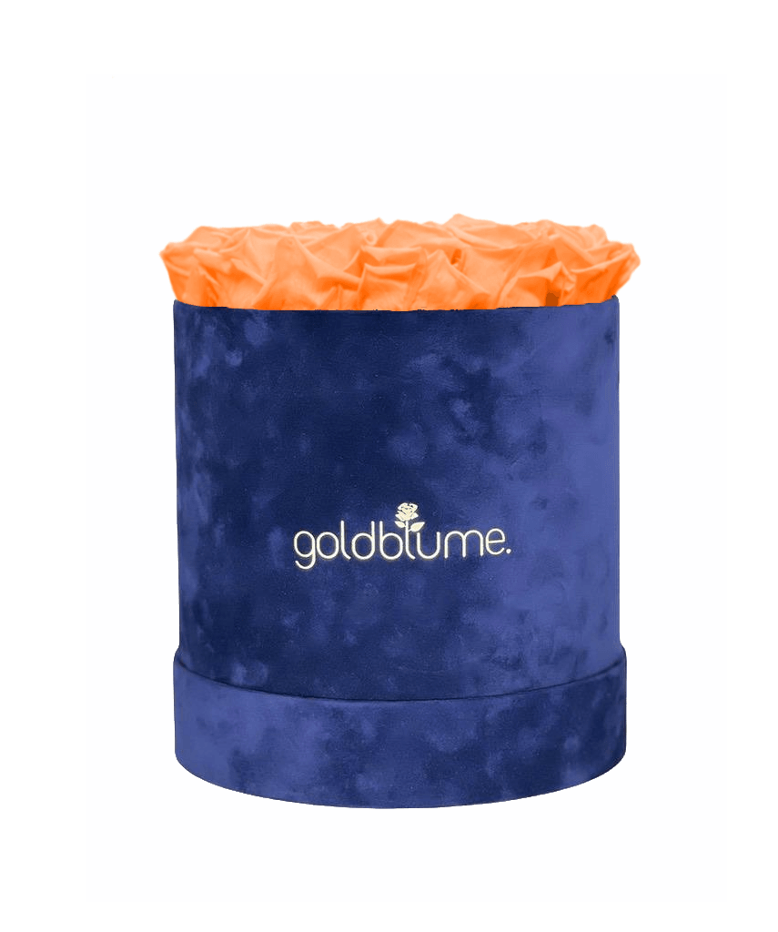 Velvet Royal Collection - Goldblume 