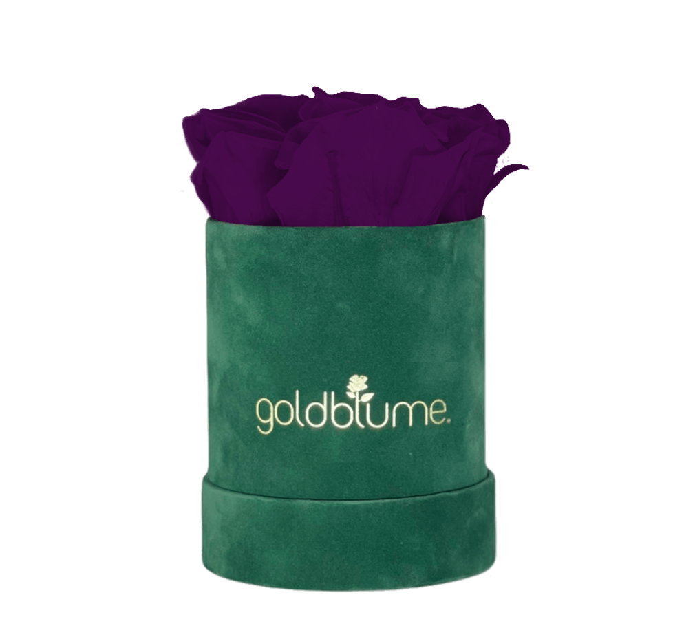 Velvet Green Collection - Goldblume 