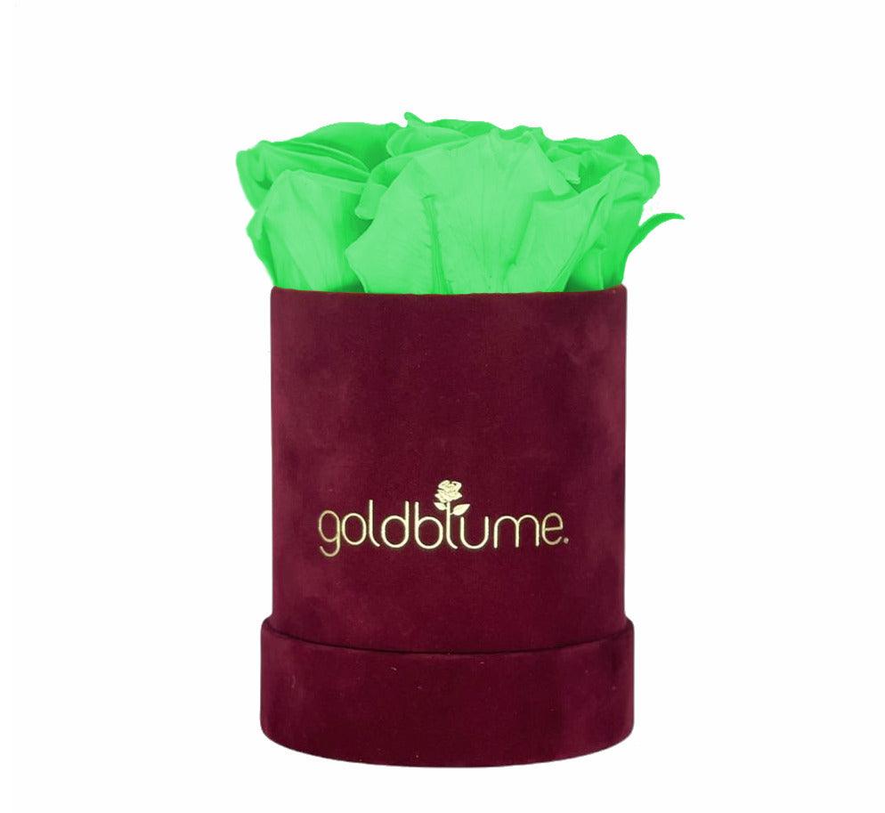Velvet Bordeaux Collection - Goldblume 