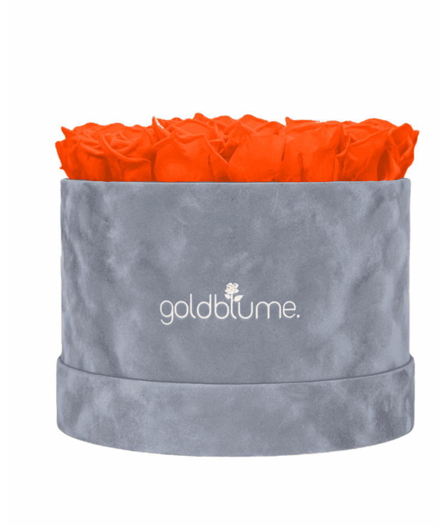 Velvet Grey Collection - Goldblume 