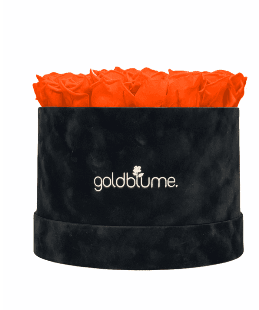 Velvet Black Collection - Goldblume 