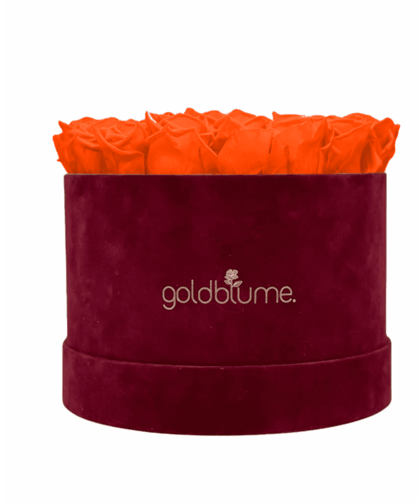 Velvet Bordeaux Collection - Goldblume 