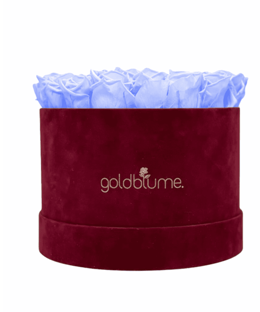 Velvet Bordeaux Collection - Goldblume 