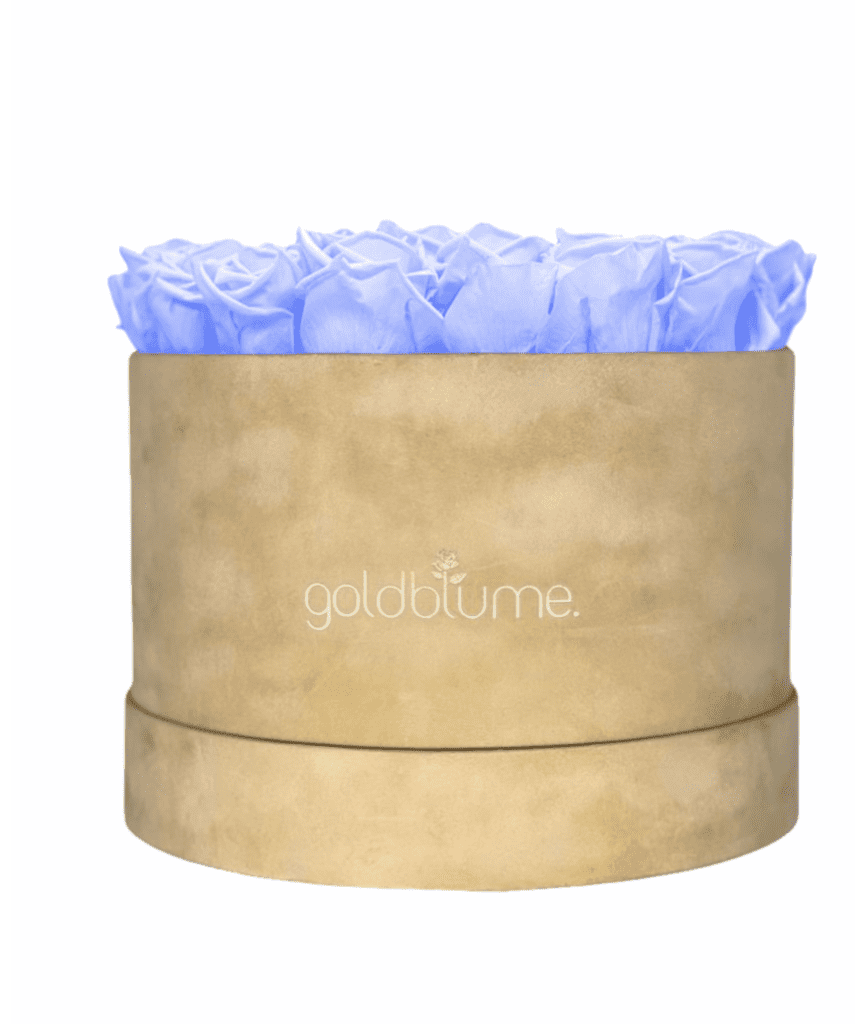 Velvet Beige Collection - Goldblume 