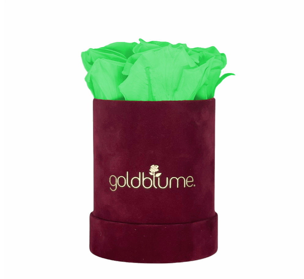 Velvet Bordeaux Collection - Goldblume 