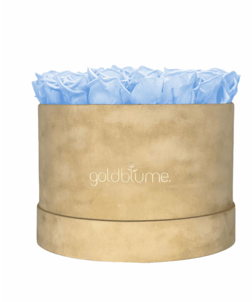 Velvet Beige Collection - Goldblume 