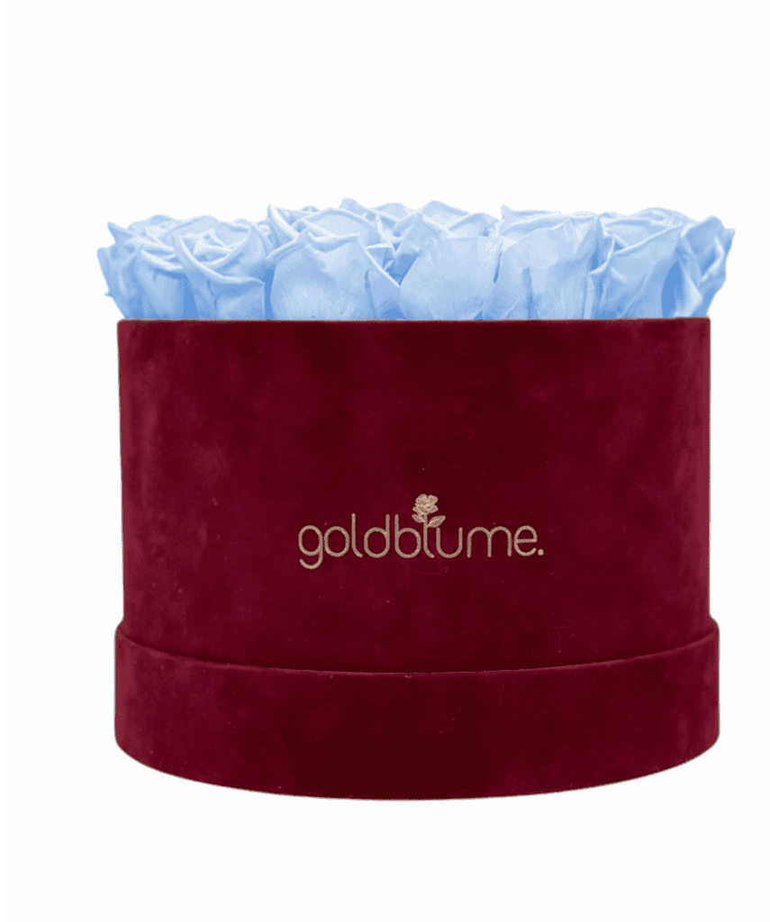 Velvet Bordeaux Collection - Goldblume 