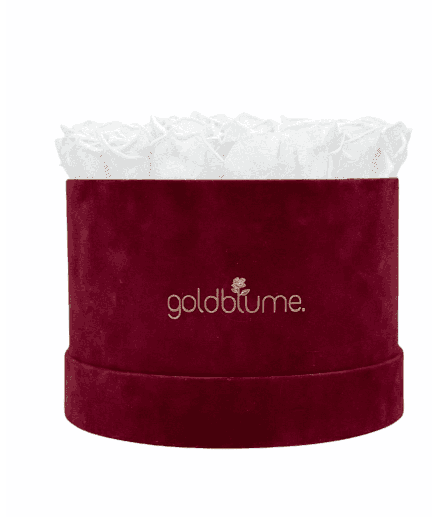 Velvet Bordeaux Collection - Goldblume 