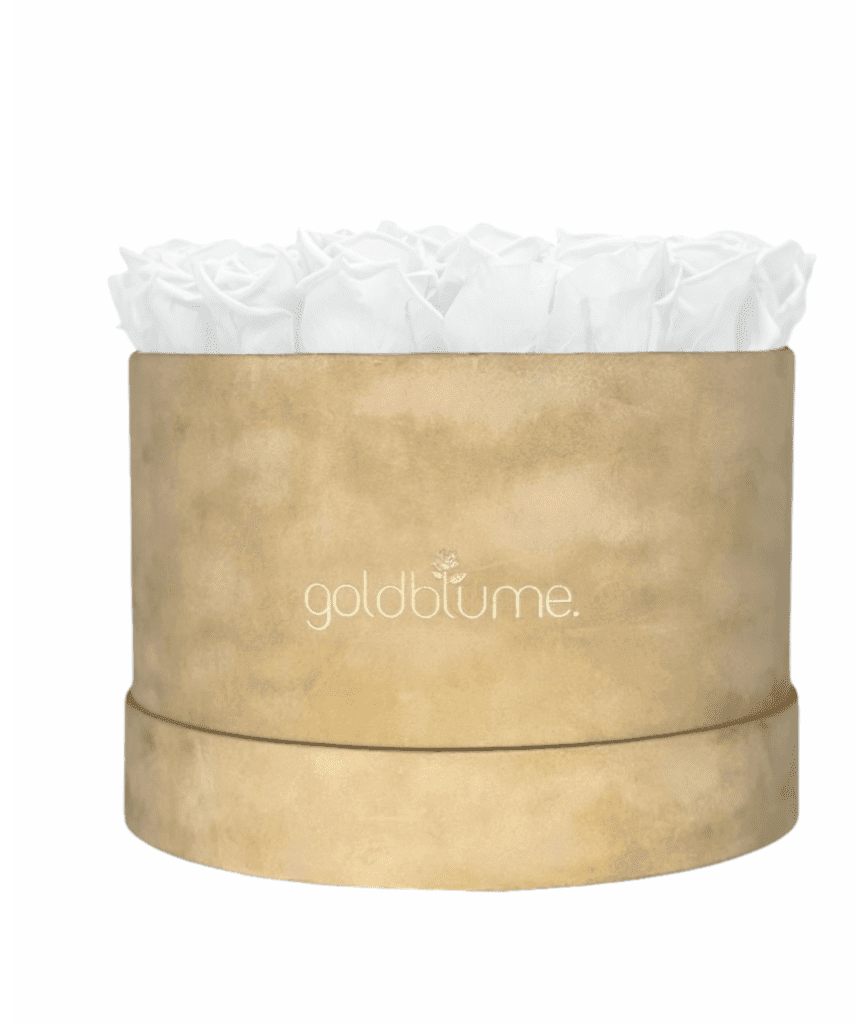 Velvet Beige Collection - Goldblume 