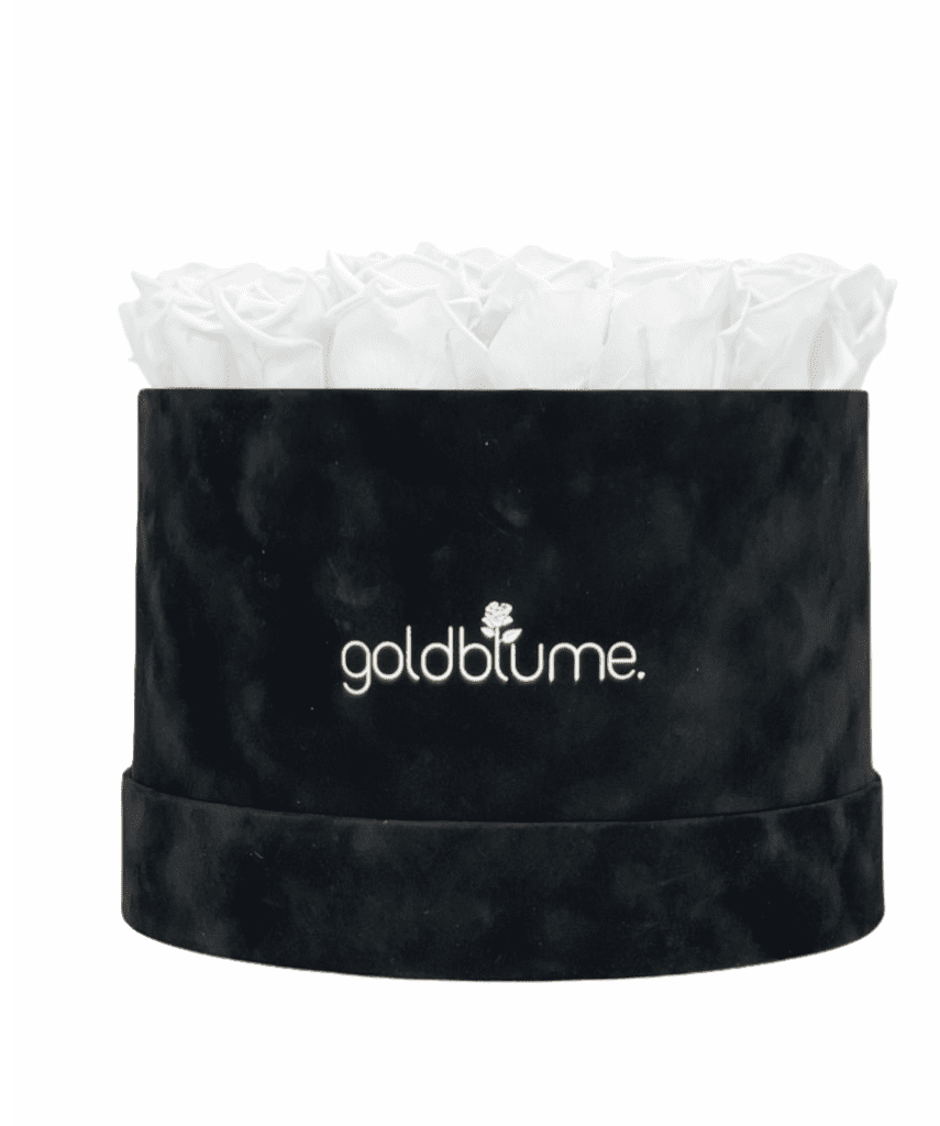 Velvet Black Collection - Goldblume 
