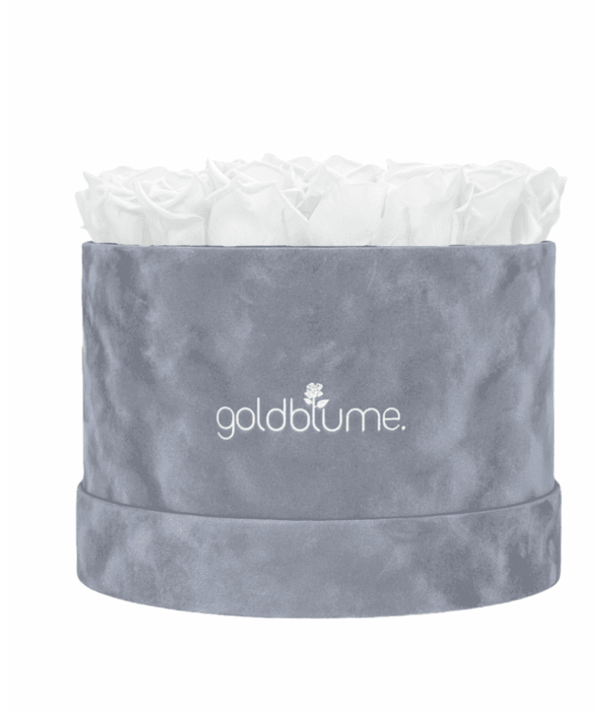 Velvet Grey Collection - Goldblume 