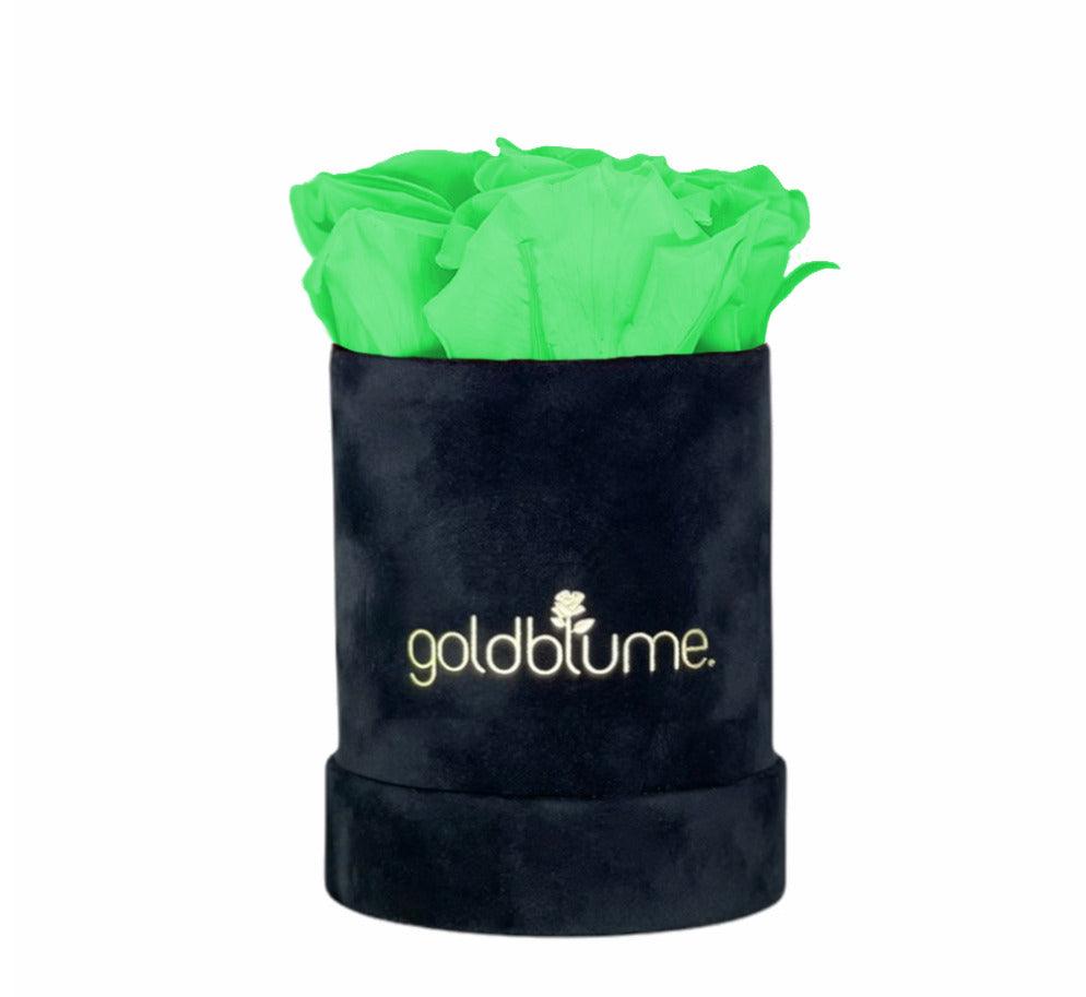 Velvet Black Collection - Goldblume 