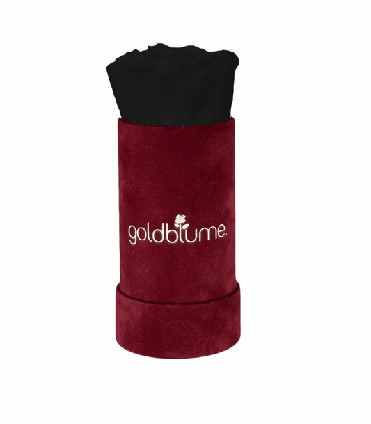 Velvet Bordeaux Collection - Goldblume 