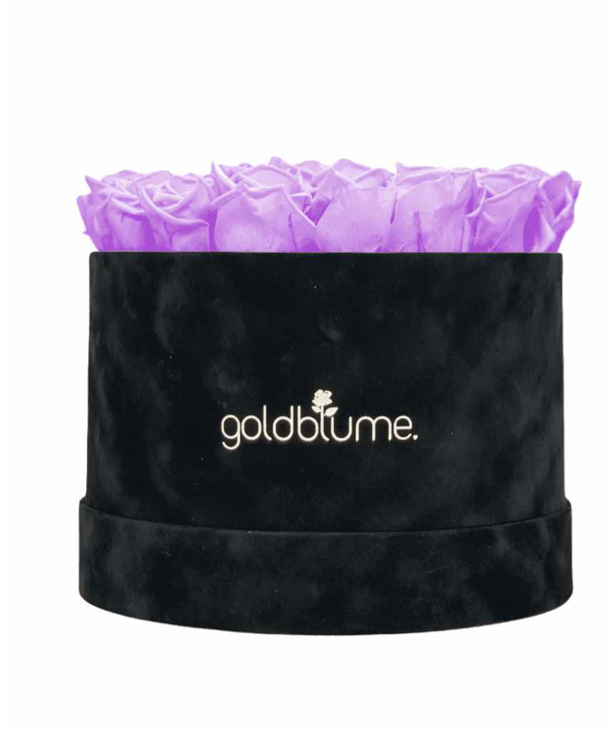 Velvet Black Collection - Goldblume 