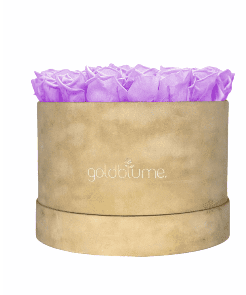 Velvet Beige Collection - Goldblume 
