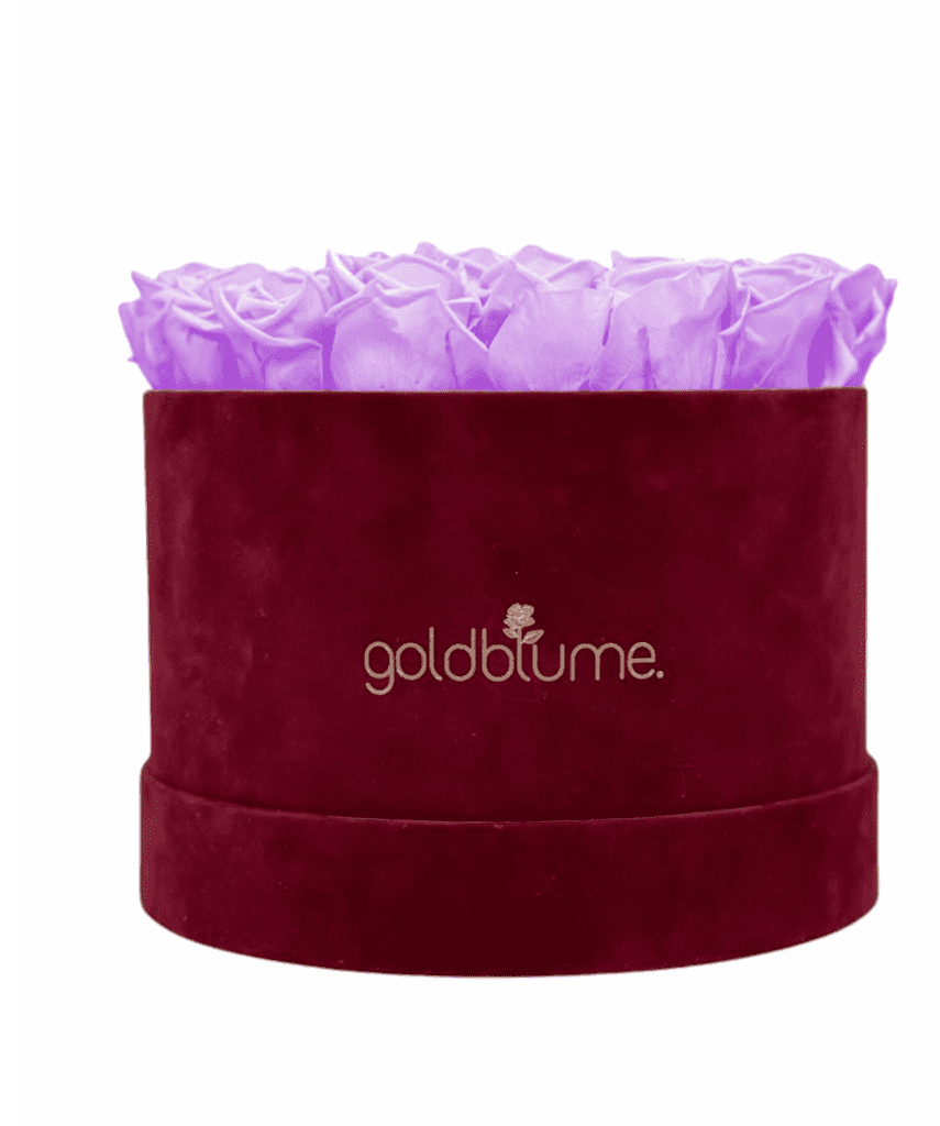 Velvet Bordeaux Collection - Goldblume 