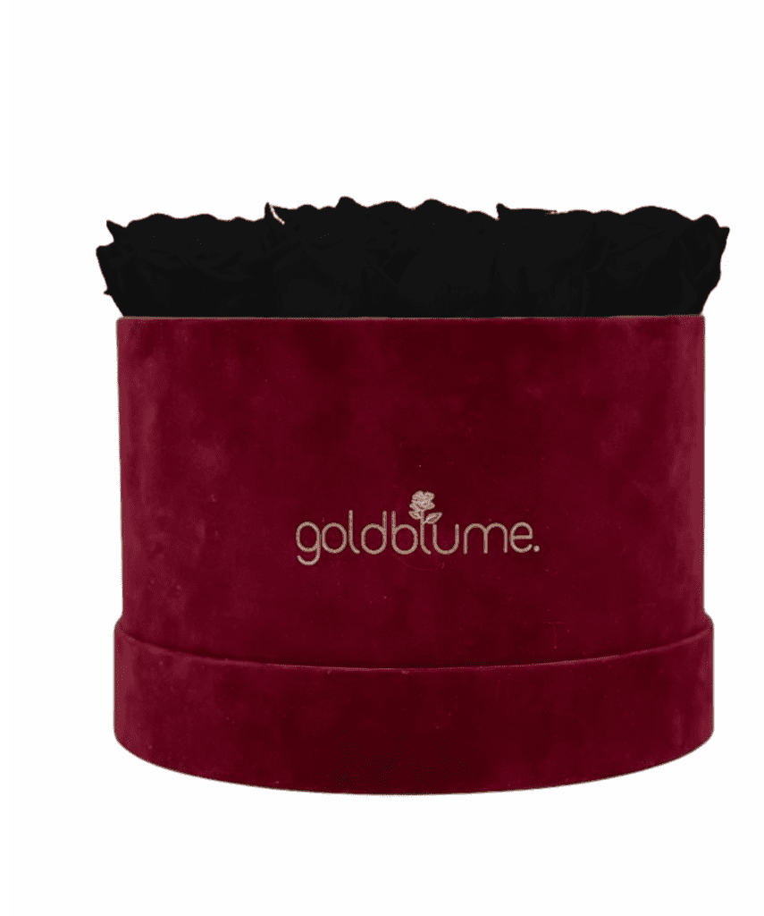 Velvet Bordeaux Collection - Goldblume 