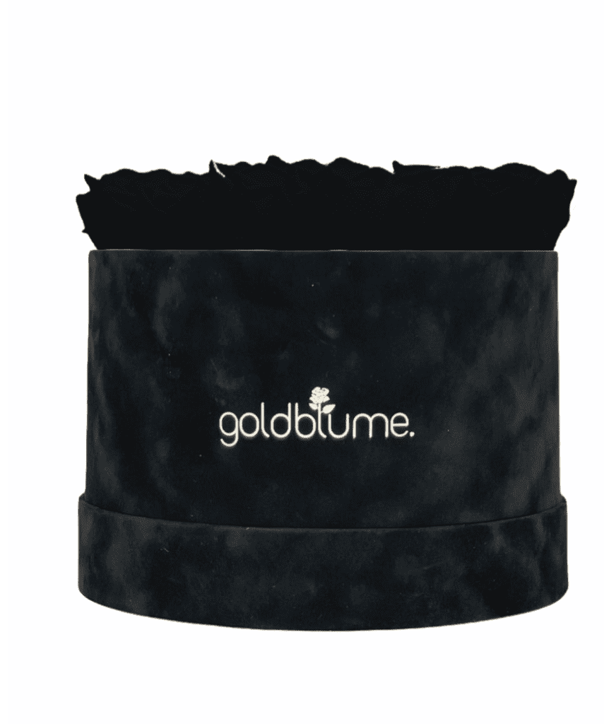 Velvet Black Collection - Goldblume 