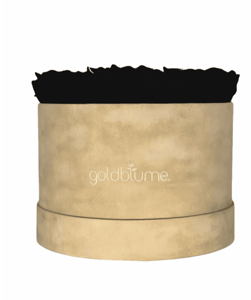 Velvet Beige Collection - Goldblume 