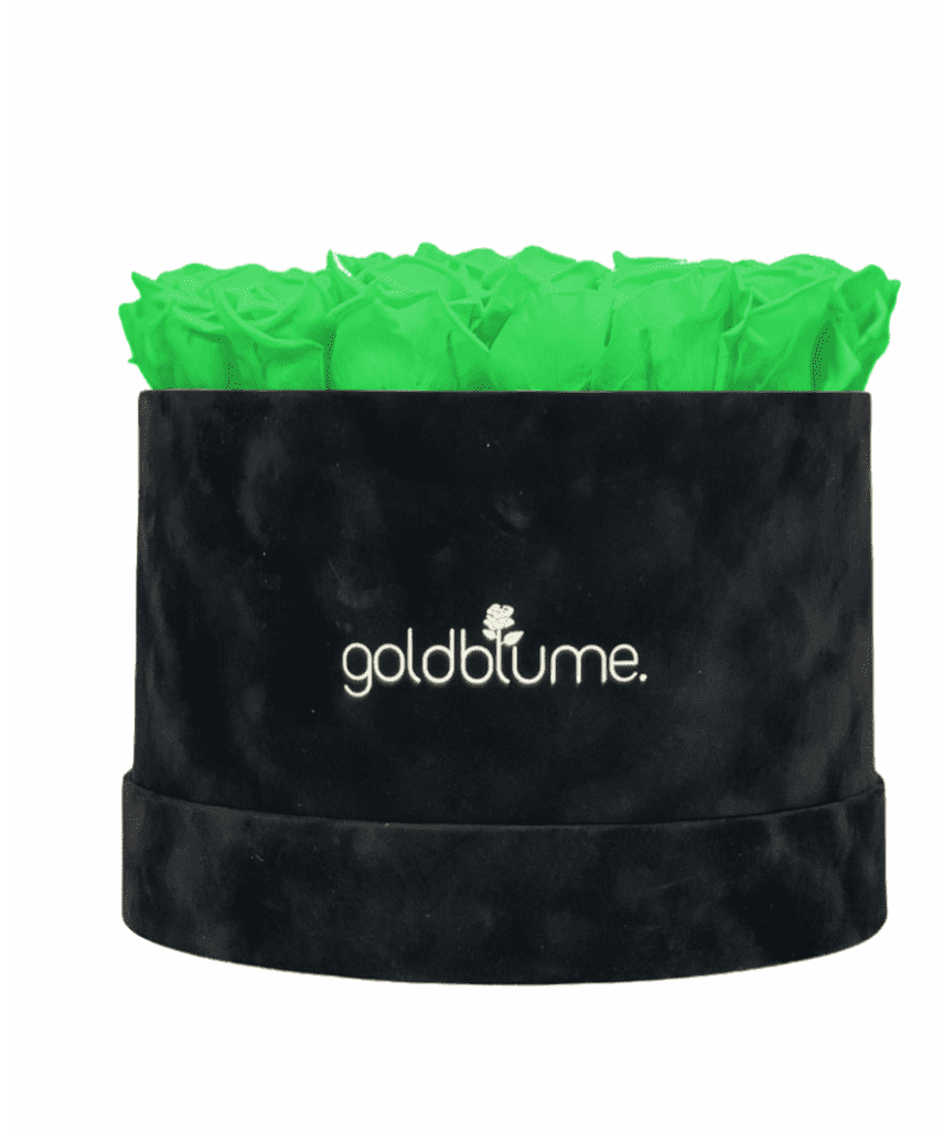 Velvet Black Collection - Goldblume 