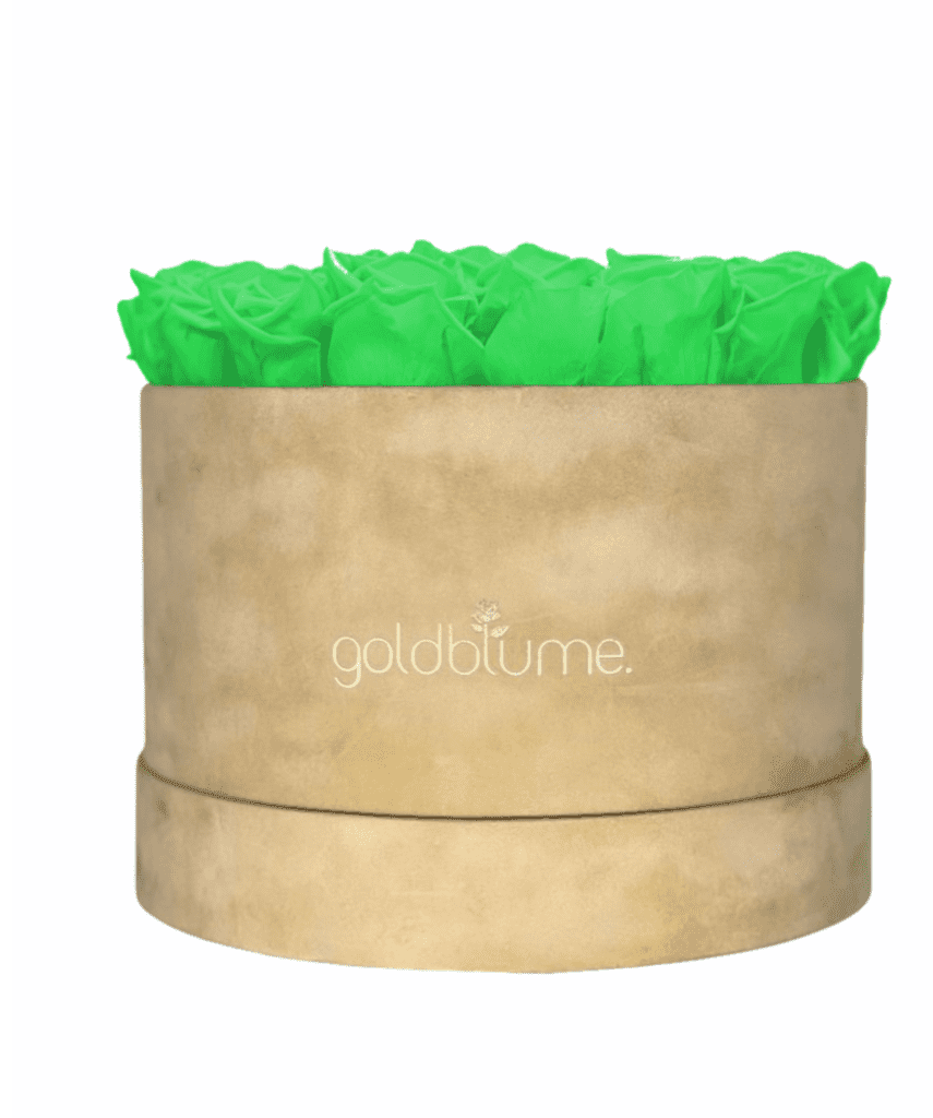 Velvet Beige Collection - Goldblume 