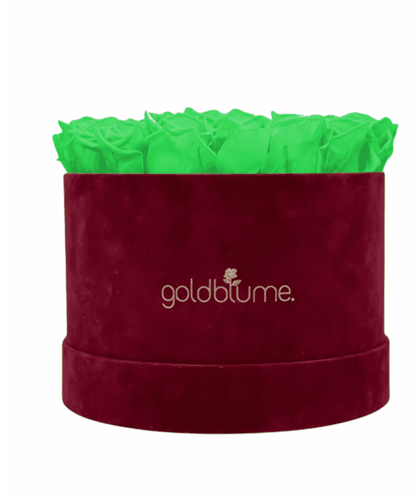 Velvet Bordeaux Collection - Goldblume 