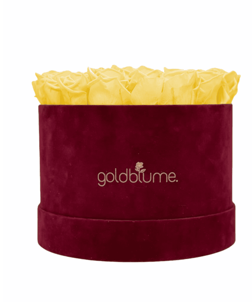 Velvet Bordeaux Collection - Goldblume 