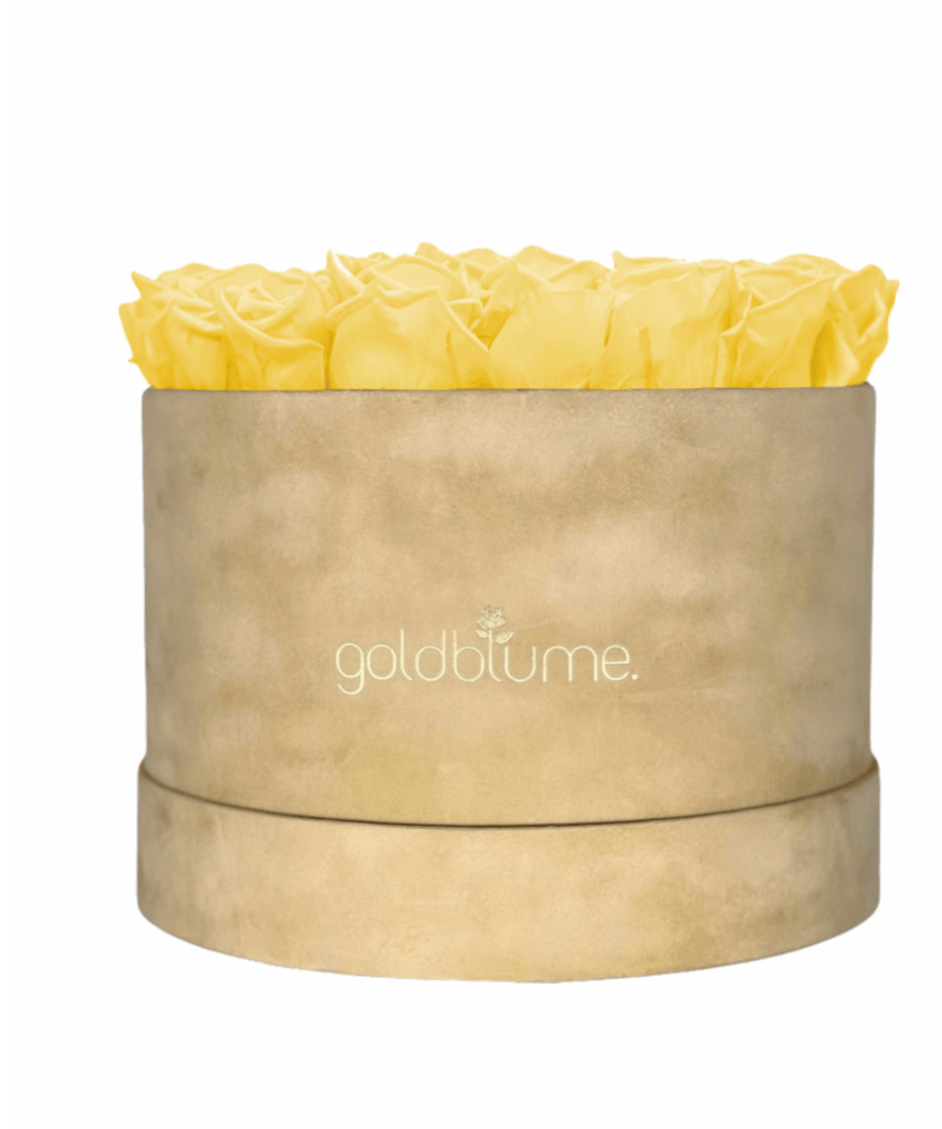 Velvet Beige Collection - Goldblume 