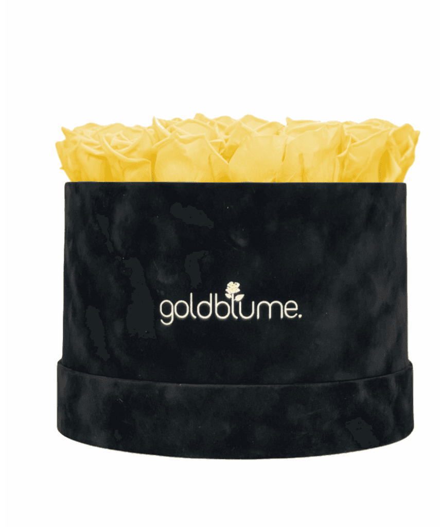 Velvet Black Collection - Goldblume 
