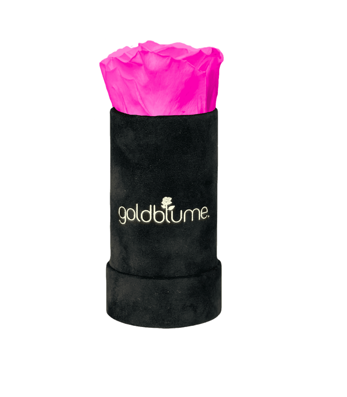 Velvet Black Collection - Goldblume 