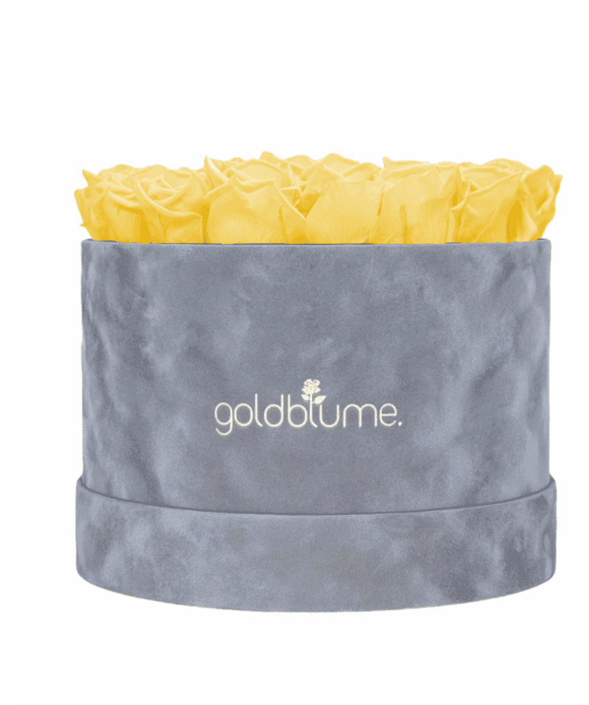 Velvet Grey Collection - Goldblume 
