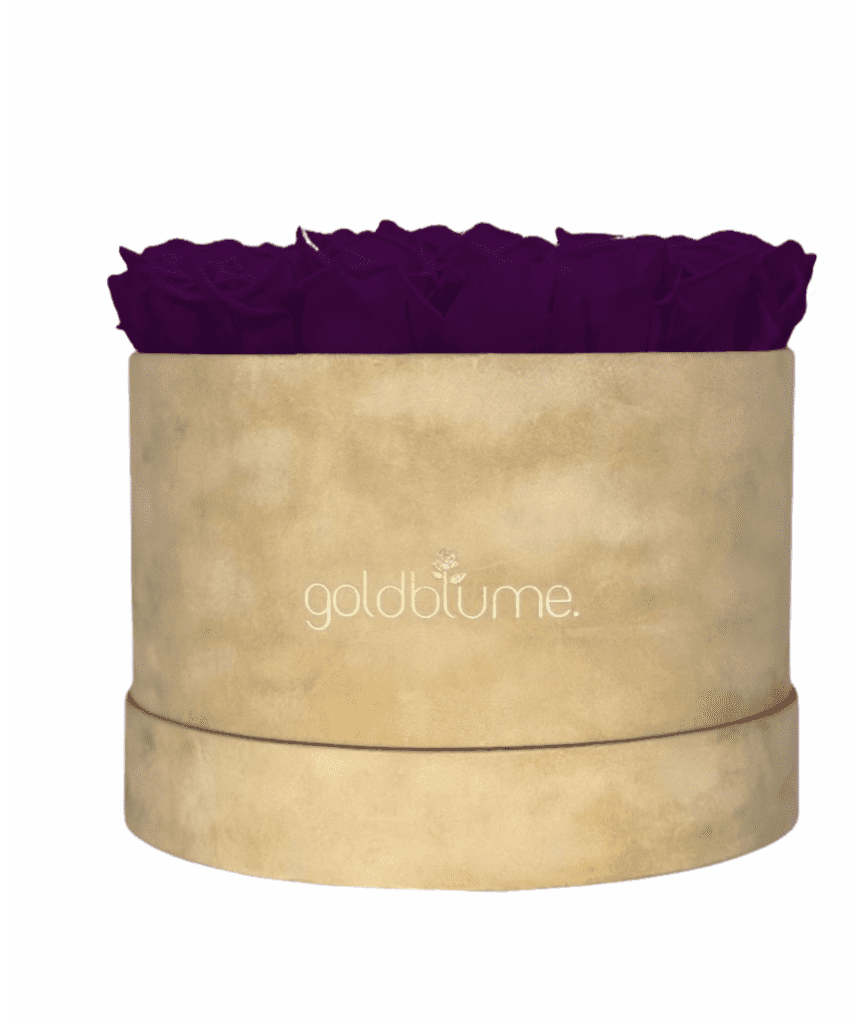 Velvet Beige Collection - Goldblume 