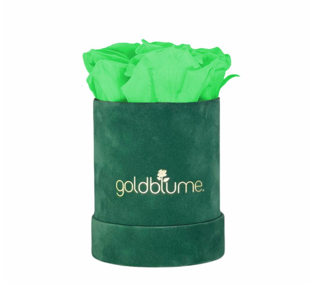 Velvet Green Collection - Goldblume 