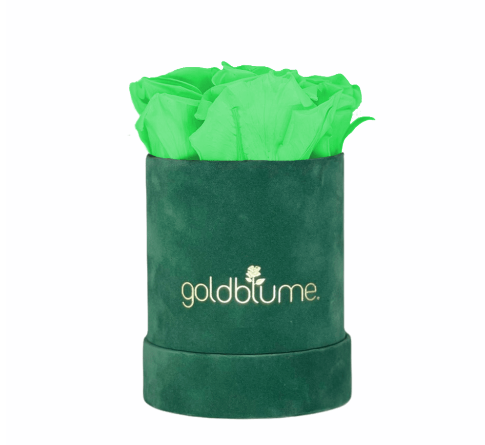 Velvet Green Collection - Goldblume 