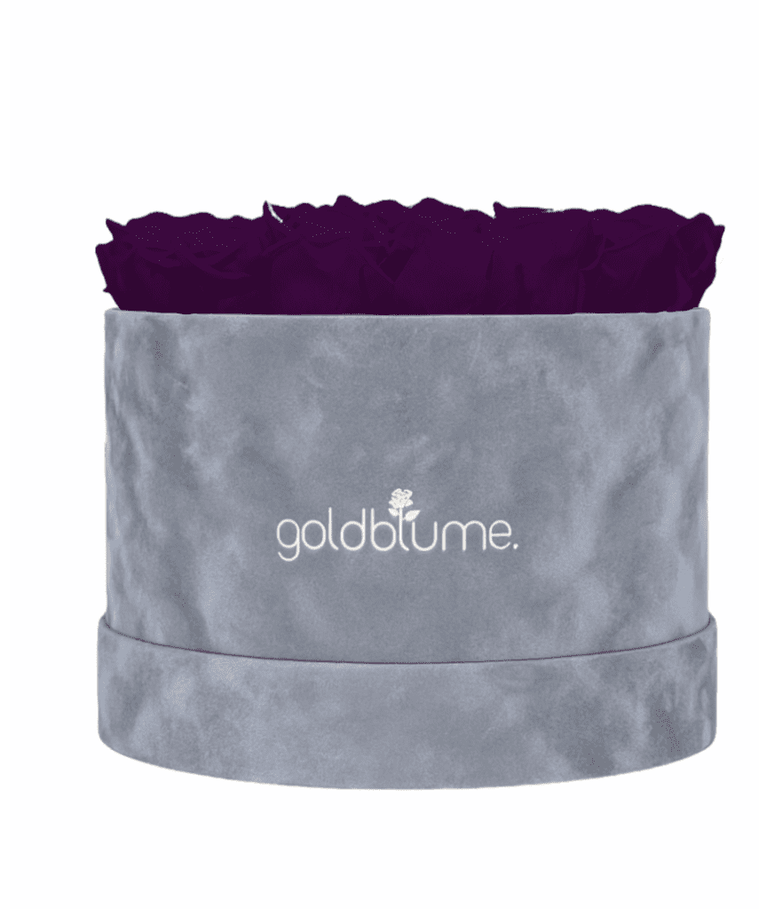 Velvet Grey Collection - Goldblume 