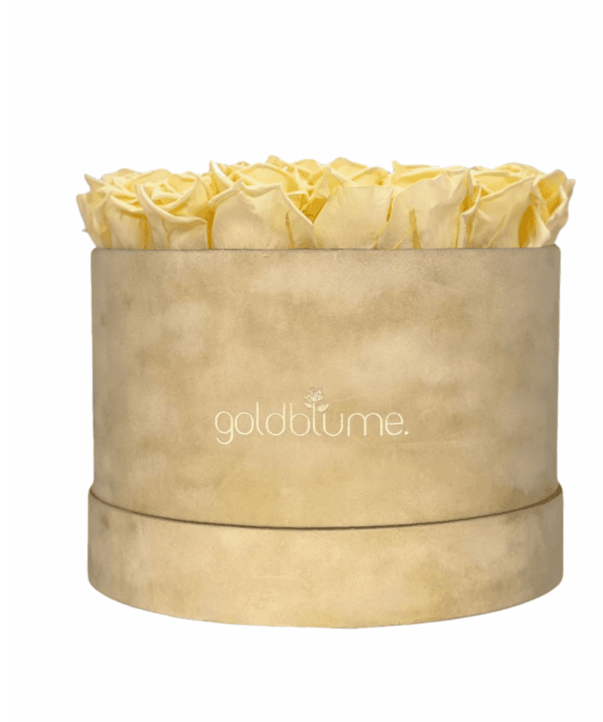 Velvet Beige Collection - Goldblume 