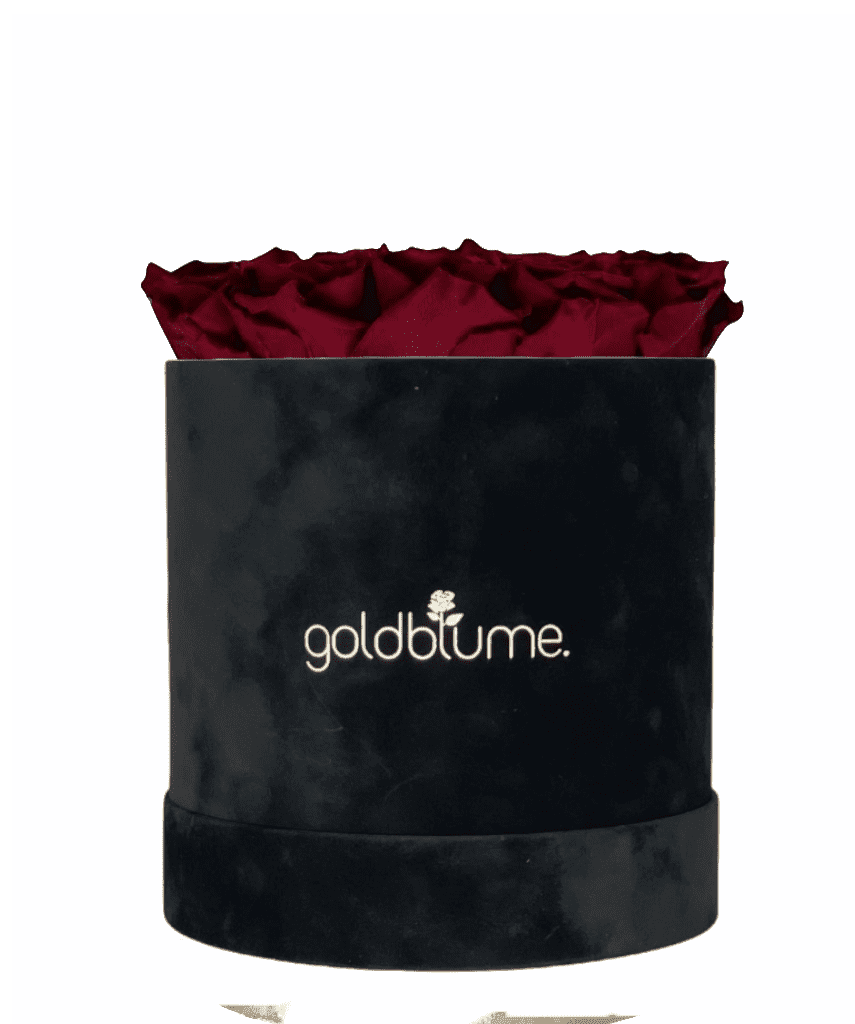 Velvet Black Collection - Goldblume 